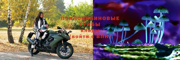 наркотики Новодвинск