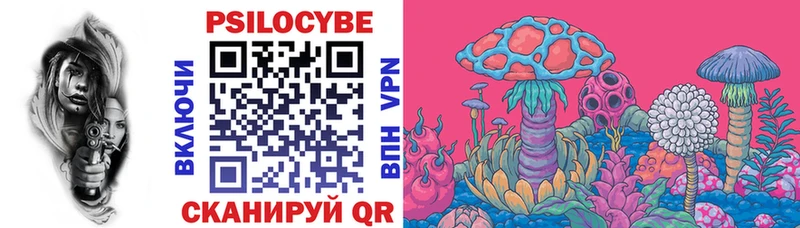 blacksprut маркетплейс  купить   Суоярви  Псилоцибиновые грибы Cubensis 